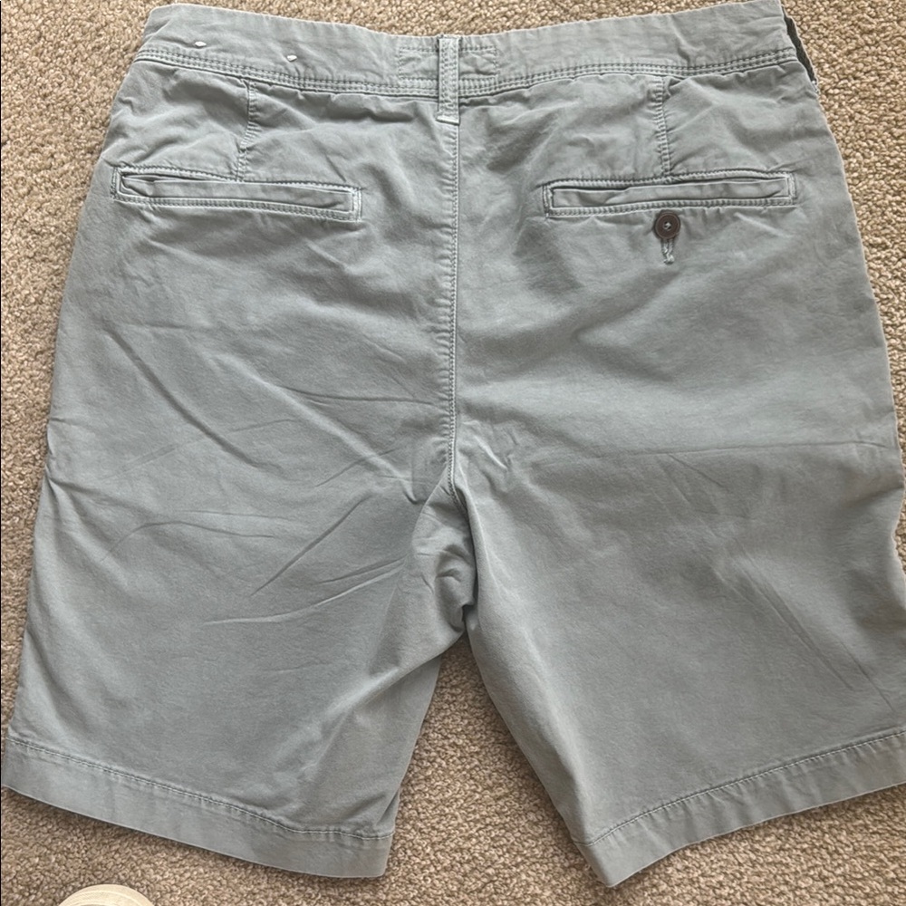 American Eagle Outfitters 31 Green Flat Front flex Shorts - Picture 2 of 6